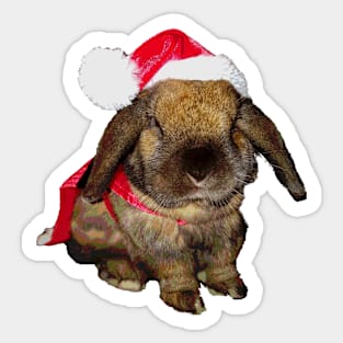 Holiday Rabbit Santa Claus Sticker